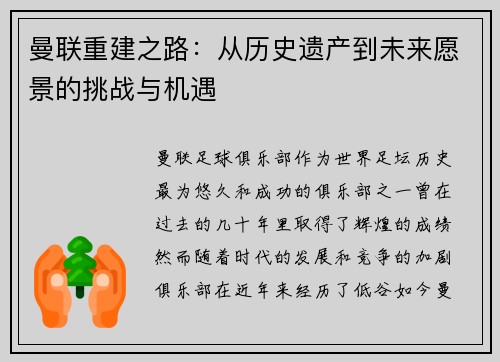 曼联重建之路：从历史遗产到未来愿景的挑战与机遇
